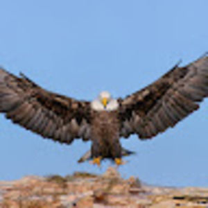 Meet your Posher, Tim